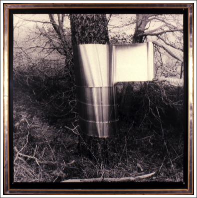 Das Waldsterben 2, 1984, Photograph, wood, metal, magnets, metal shavings.